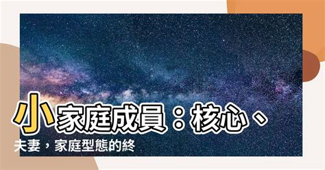 小家庭成員|家庭型態（頂客族、單親、折衷、核心、重組）